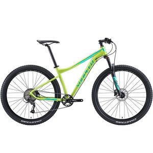 Bicicleta Sunpeed Rule Verde Talla 15 Rin 29